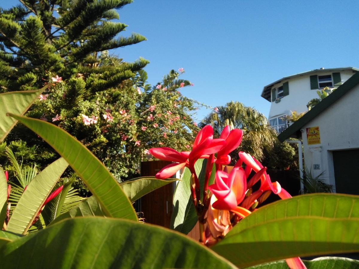 Cape Oasis Guesthouse Bloubergstrand Extérieur photo